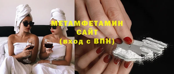 гидра Володарск