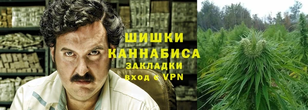 прущие грибы Гусев